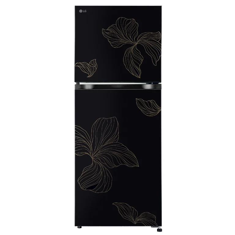 LG 238 Liter Double Door Refrigerator
